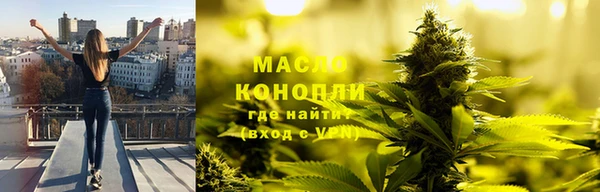 индика Богданович