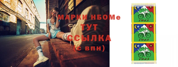 индика Богданович