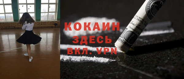 индика Богданович