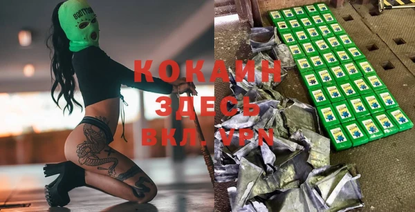 индика Богданович