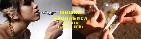 индика Богданович