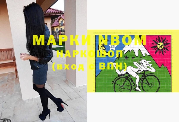 индика Богданович