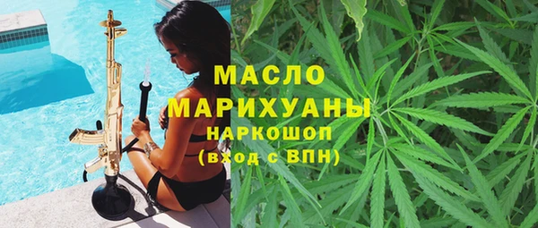 индика Богданович