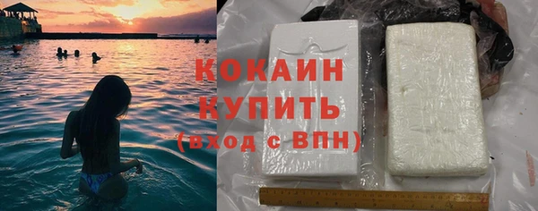 индика Богданович