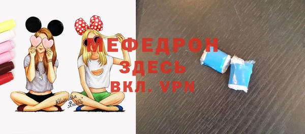 индика Богданович
